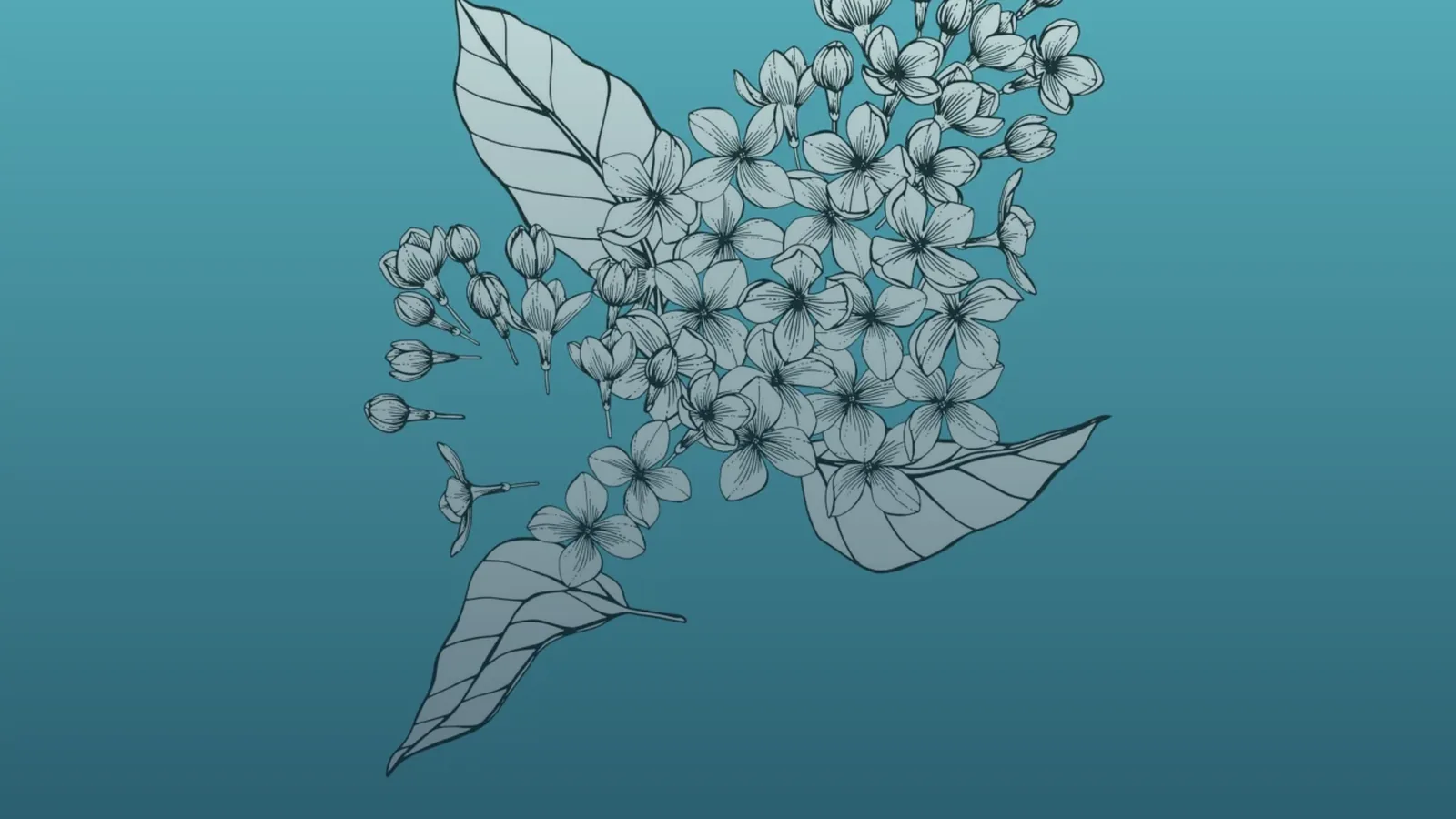 The Things We Know artwork used as a release header