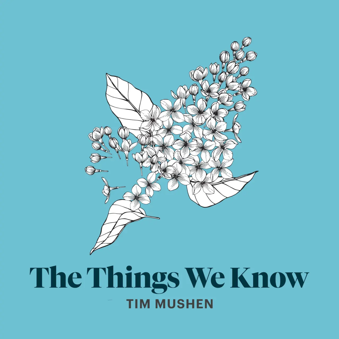 The Things We Know by Tim Mushen